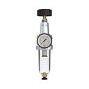 RIEGLER Filterregler »Standard«, mit Polycarbonatbehälter, BG 3, G 1/2, Frontansicht