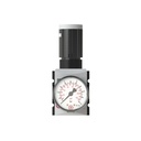 RIEGLER Druckregler »FUTURA«, inkl. Manometer, BG 1, G 1/4, 0,2 - 4 bar, Frontansicht