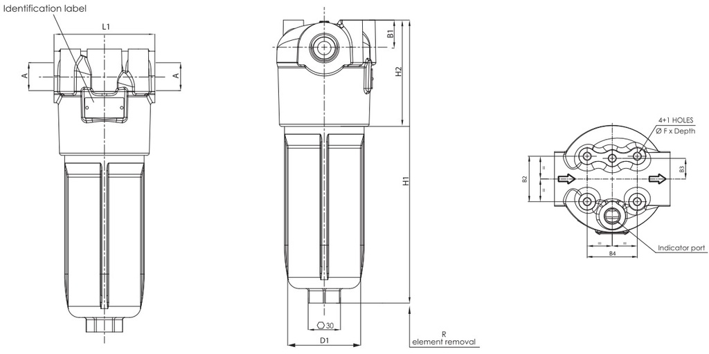 FILTREC Leitungsfiltergehäuse (Druckfilter) F100XD250000BB7DS000 Zeichnung