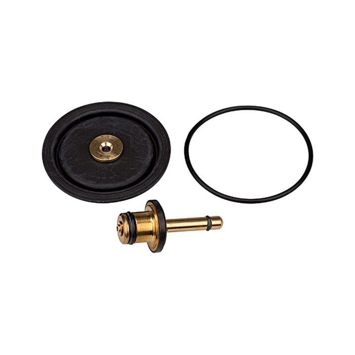 RIEGLER Wear part set incl. membrane, Valve cone and O-ring 50x2