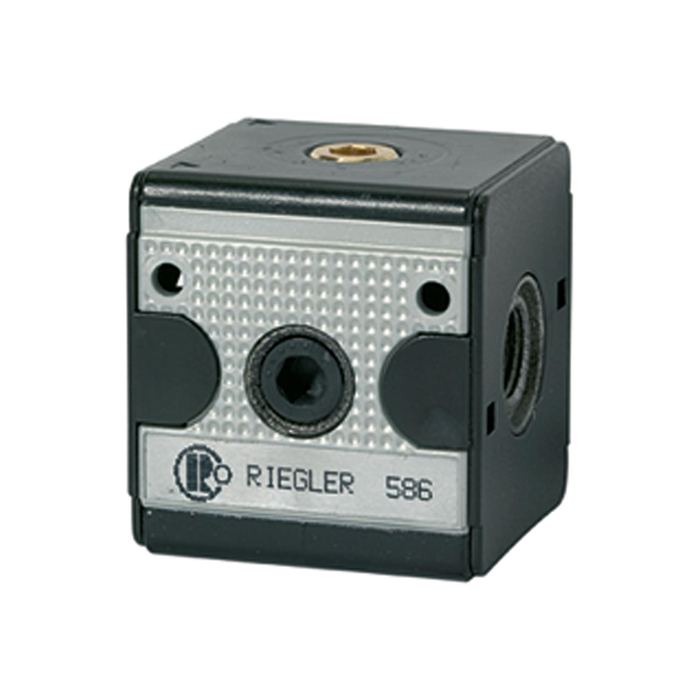 RIEGLER Rückschlagventil »multifix«, BG 1, G 3/8
