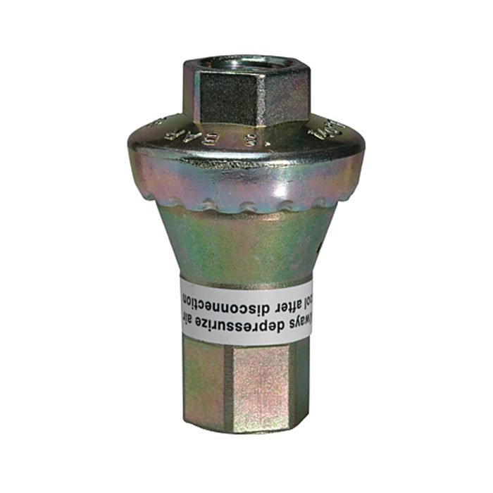 RIEGLER Inline pressure regulator, 2 x IT, G 1/4, AF 17, pre-set 2 bar