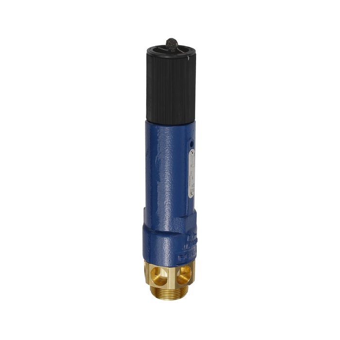 RIEGLER Hochleistungs-Sicherheitsventil, MS, G 1 1/2, Ansprechdruck 2 bar