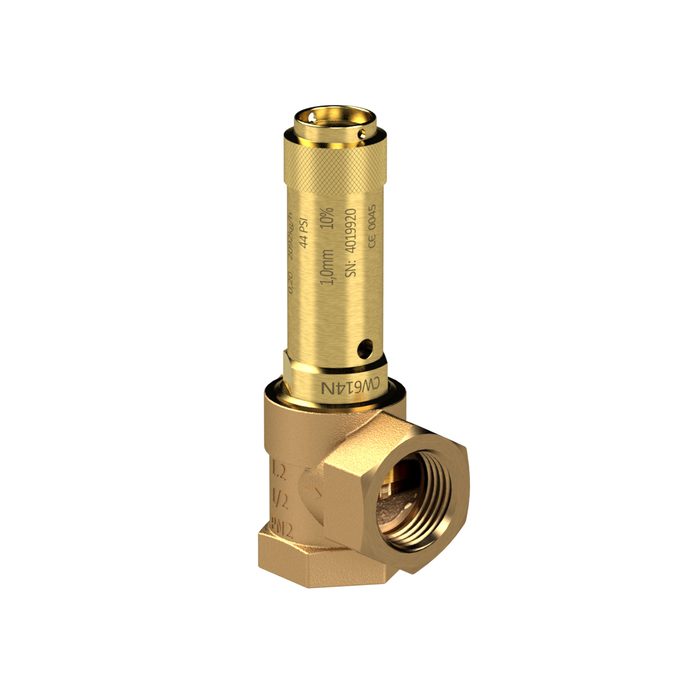RIEGLER Corner safety valve, liquids, G 2, Trigger pressure 5.5 bar