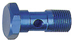 RIEGLER Hohlschraube, G 1/4, SW 17, Aluminium