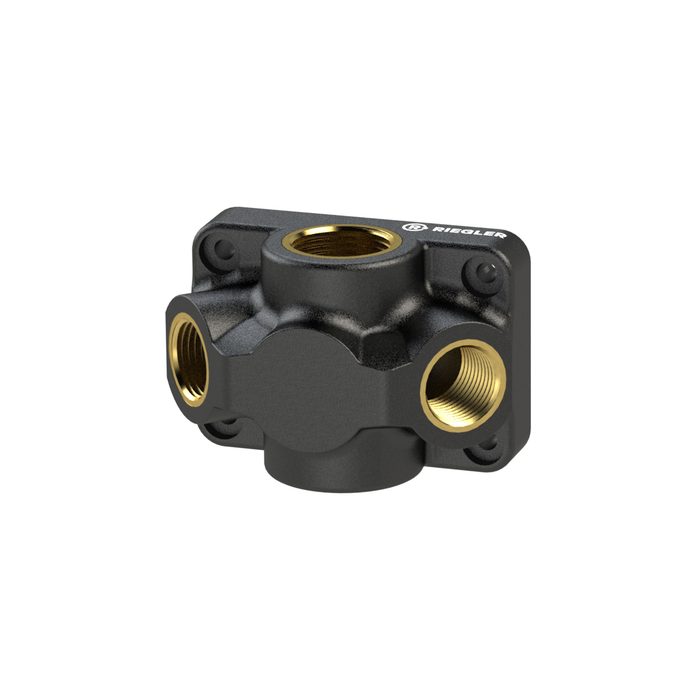 RIEGLER End distributor, input G 1/2, connection 2 x G 1/2