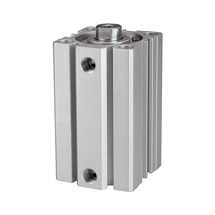 RIEGLER Kurzhubzylinder »ACQ« doppeltwirkend, Kolben-Ø 100, Hub 40, G 3/8