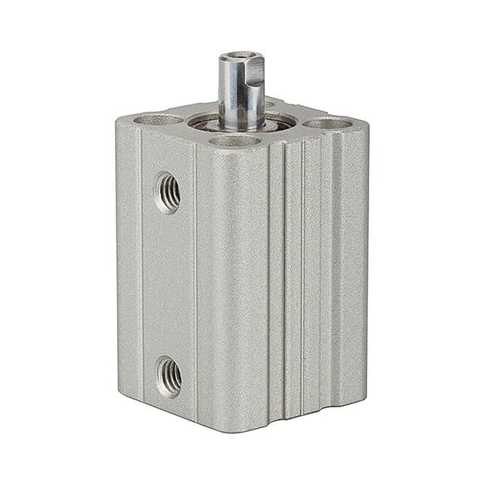 RIEGLER Kurzhubzylinder »ACQ« doppeltwirkend, Kolben-Ø 12, Hub 45, M5x0,8