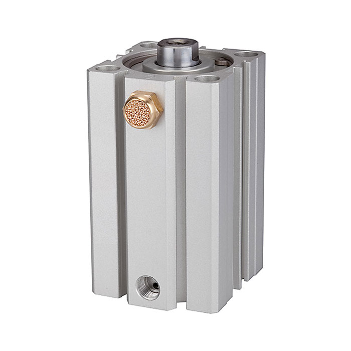 RIEGLER Kurzhubzylinder »ASQ« einfachwirkend, Kolben-Ø 32, Hub 25, G 1/8