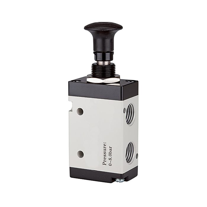 RIEGLER 5/2-Wegeventil, Druckknopfbetätigung, »3L«, G 1/8, 500l/min