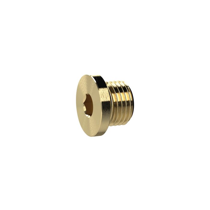 RIEGLER Locking screw, Hexagonal socket and flange, G 1/2, AF 10, Brass