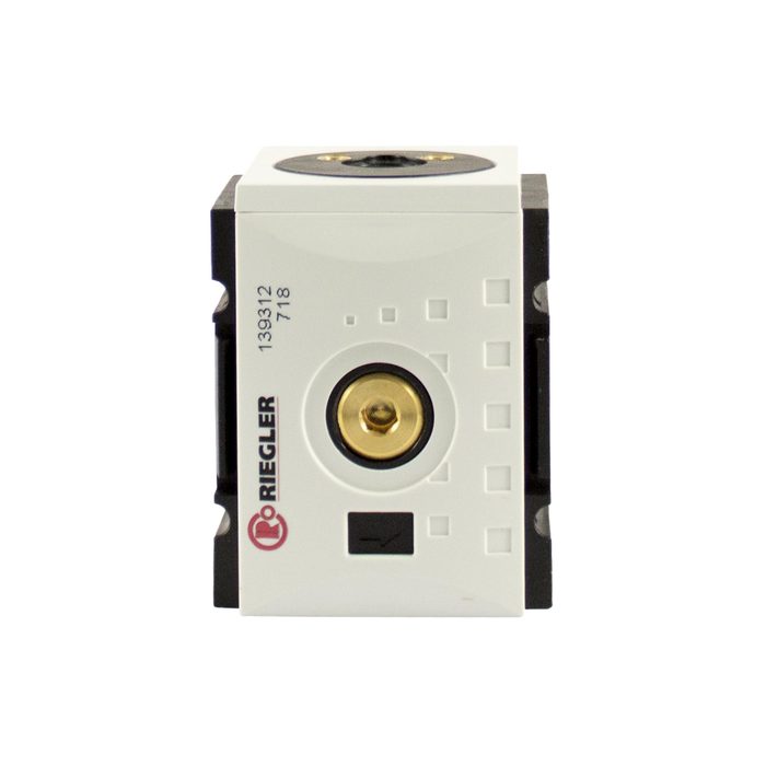 RIEGLER Check valve »FUTURA«, Size 2, G 1/2