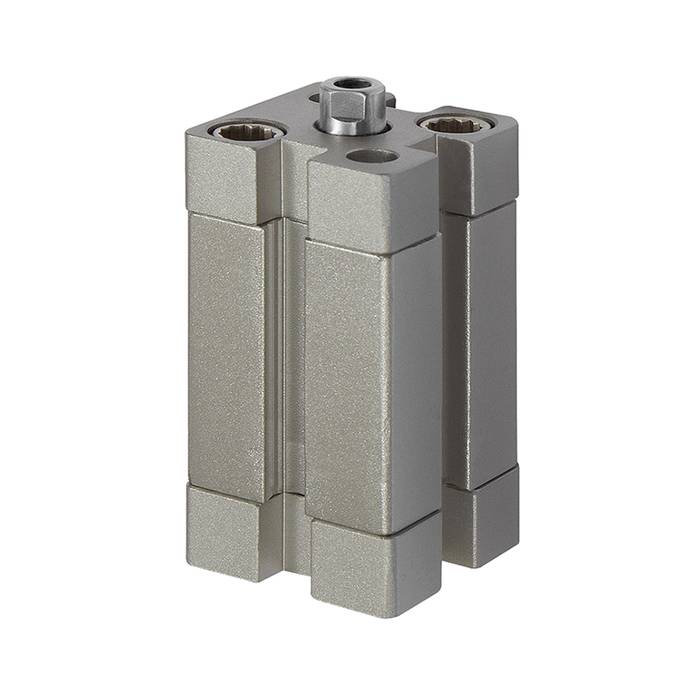 RIEGLER Kompaktzyl., einfachw., IG, eingef., Ø80, Hub20, G1/8, ISO21287