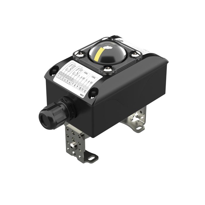 RIEGLER End position feedback, aluminum, microswitch, 12-250V AC/DC