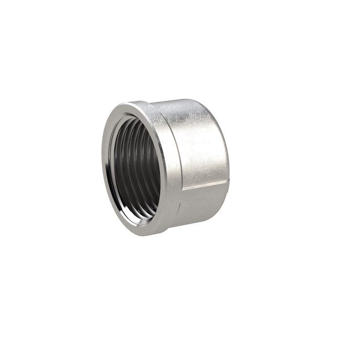 RIEGLER Verschlusskappe, rund Rp 3/8, IG, ES 1.4408