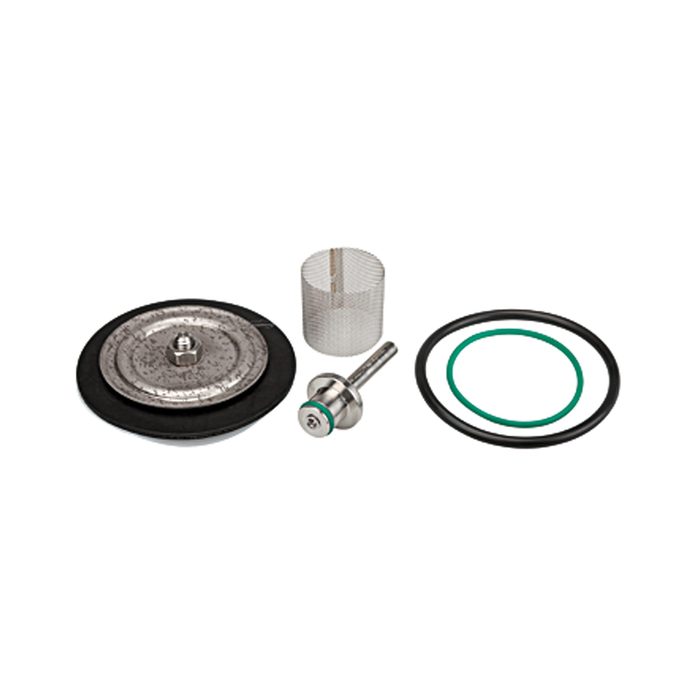 RIEGLER Wear parts kit with PTFE diaphragm, max. 50 bar, G 1/4