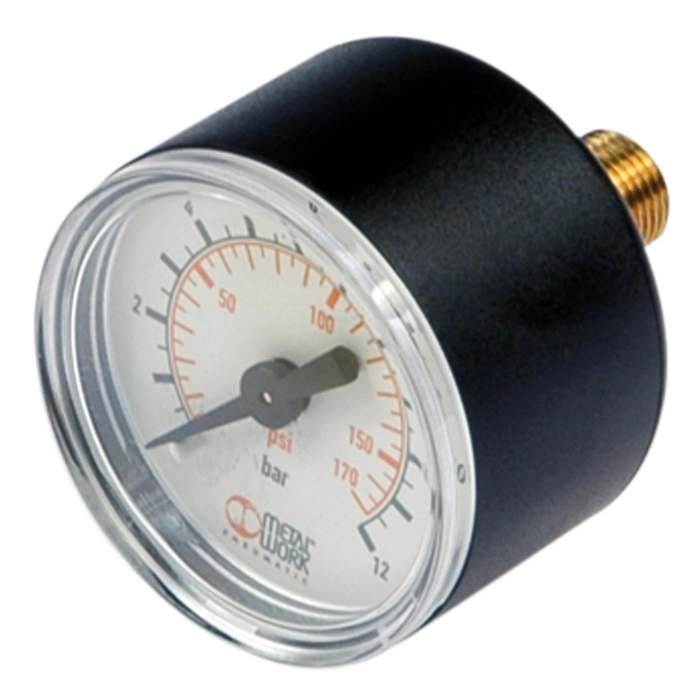 RIEGLER Manometer Metal Work, G 1/8 hinten, 0-12 bar, Ø50