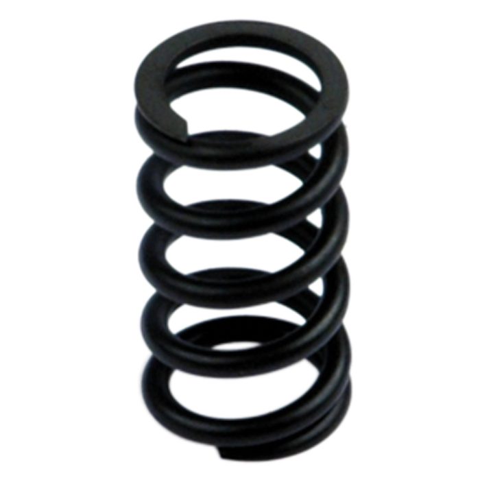 RIEGLER Feder »SYNTESI«, BG 2, 0 - 4 bar