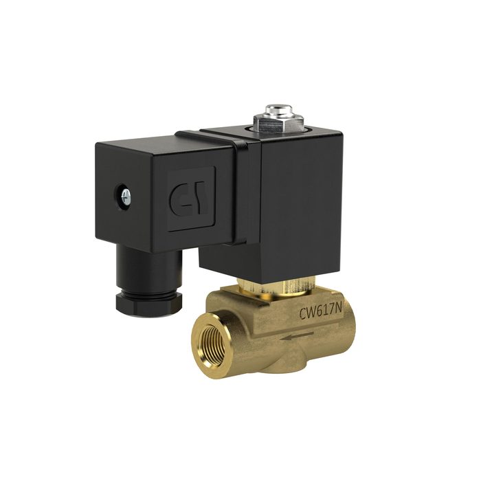 RIEGLER 2/2 MV, NO, MS, G14, DN 2.5, PN 0-8, FPM, direct 12V DC