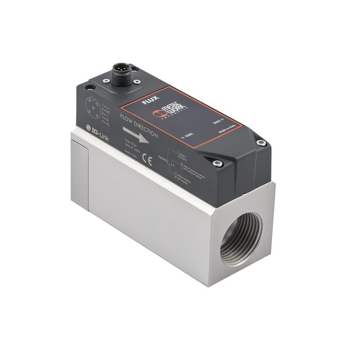 RIEGLER Durchflussmesser »FLUX«, BG 2, IO-Link