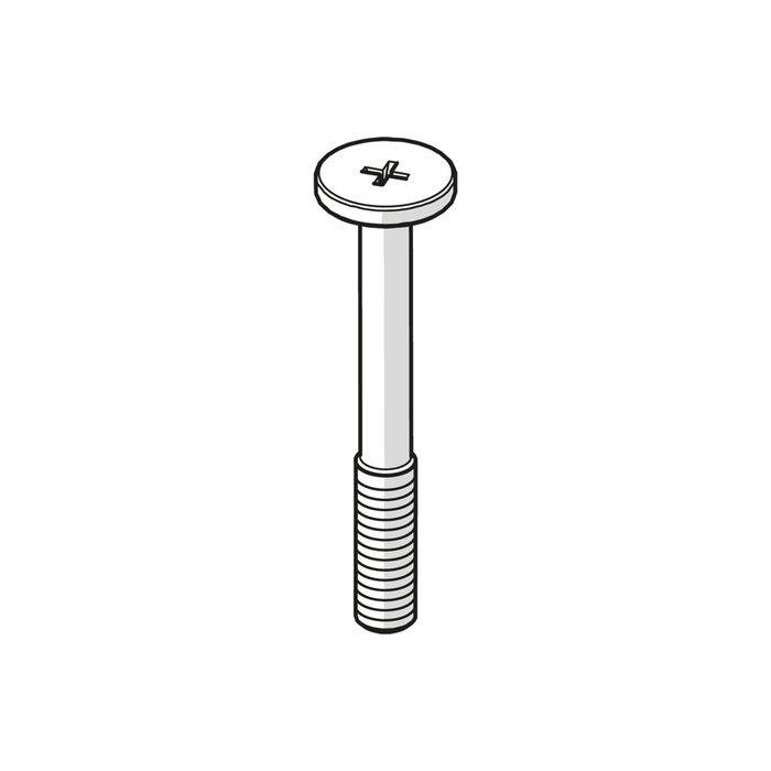 RIEGLER EB 80 screw for valve/base plate, PU 10 pcs.