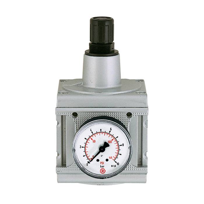 RIEGLER Druckregler »multifix«, inkl. Manometer, BG 5, G 1, 0,2 - 6 bar