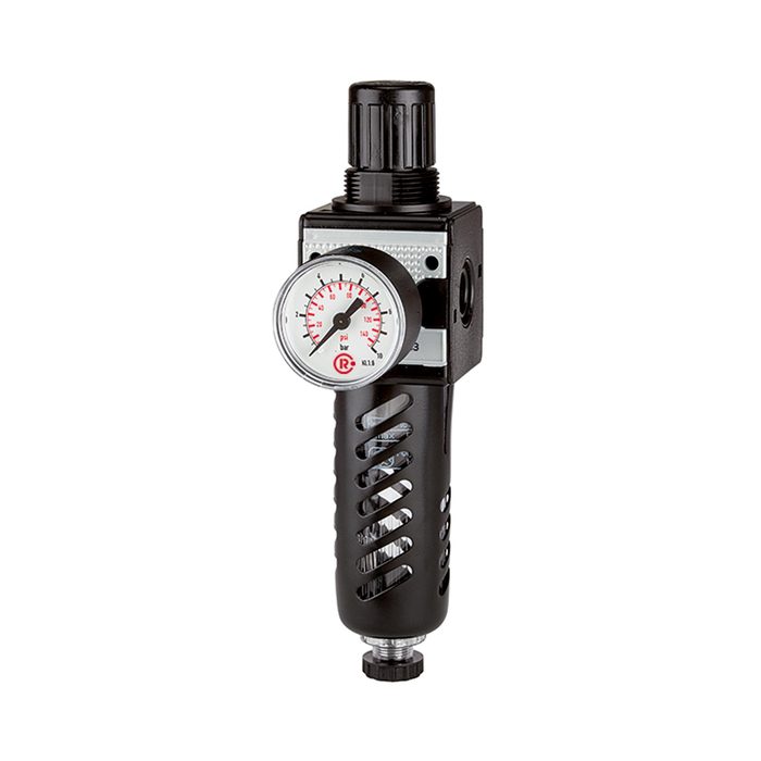 [100492] RIEGLER Filterregler »multifix«, mit PC-Behälter, Schutzkorb, BG 5, G 1