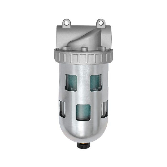 RIEGLER Special filter »Standard« Protective cage, 0.01 µm, Size 1, G 3/8