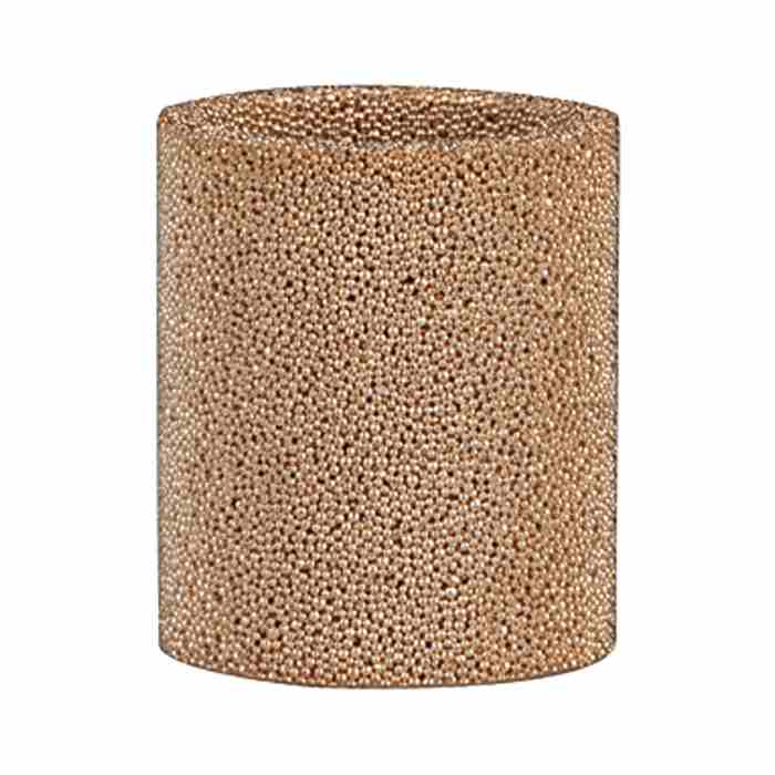 RIEGLER Filterelement 50 µm, Sinterbronce, für Kombi-Wartungseinheit BG 1