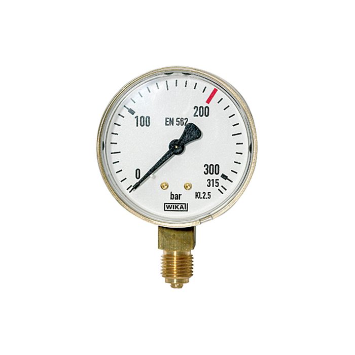 RIEGLER Manometer neutral, G 1/4 radial unten, Messber. 0 - 315 bar, Ø 63