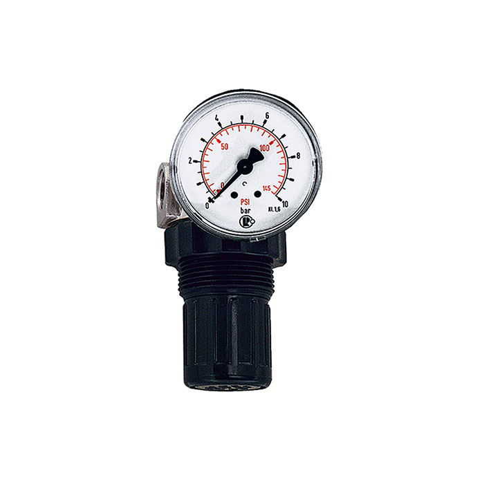 RIEGLER Druckregler für Wasser, inkl. Mano, G 1/4, 0,2-6 bar, PE max. 25