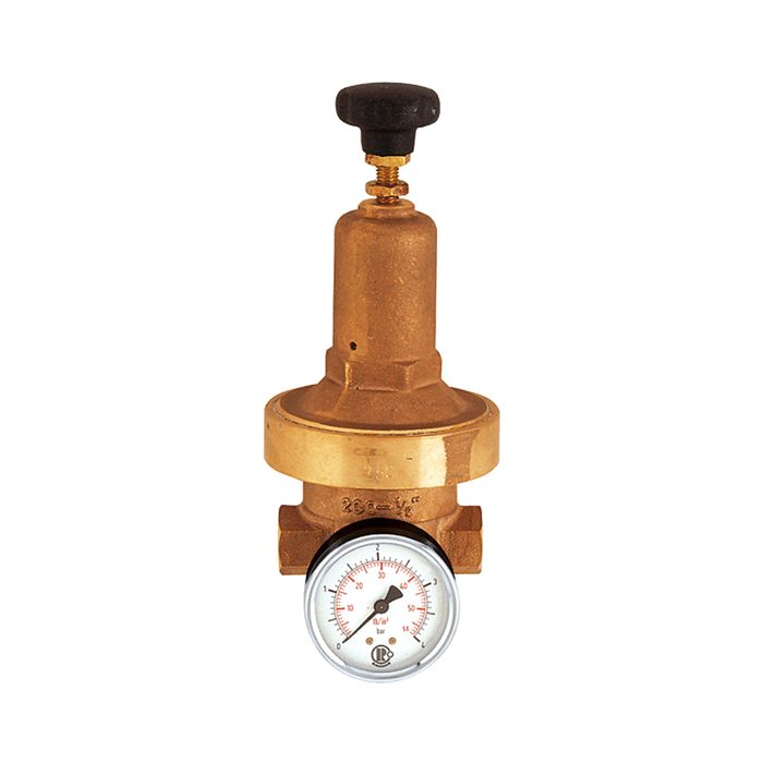 RIEGLER Druckregler DRV 250, Niederdruckausführung, G 1/2, 0,2 - 2 bar