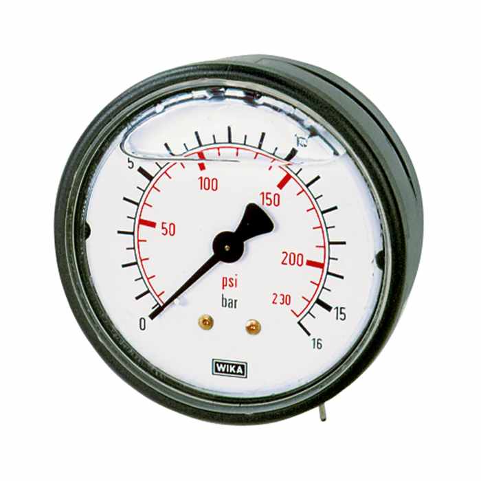 RIEGLER Glyzerinmano., Kunststoff, G 1/4 hinten zentr., 0-160,0 bar, Ø 63