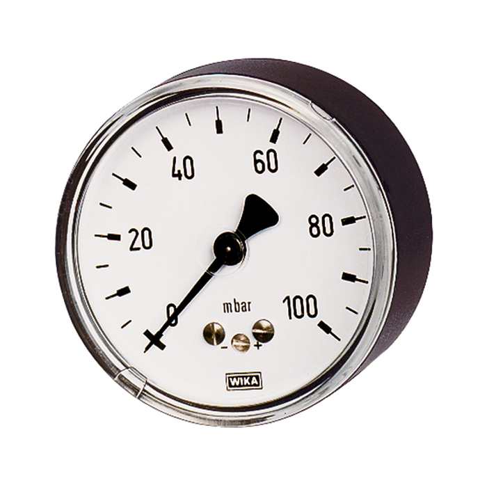RIEGLER Kapselfedermanometer, G 1/2 hinten exzentr., 0 - 100 mbar, Ø 100