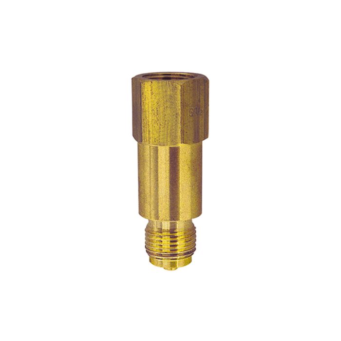 RIEGLER Zwischenstück für Messgerätehalter, G 1/2, aus Stahl