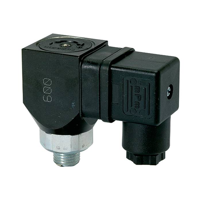 [103019] RIEGLER Pressure switch changeover contact design, G 1/8, 10-70 bar