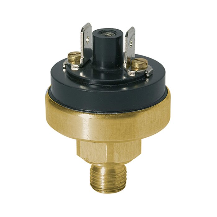 [103071] RIEGLER Pressure switch low pressure range, Brass, M10x1, 0.2 - 1.5 bar