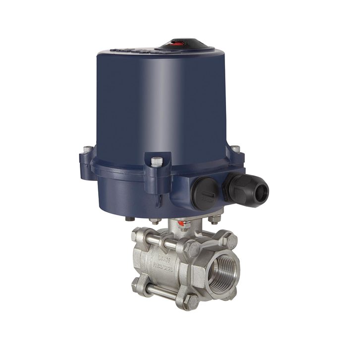 RIEGLER 2-Wege-Edelstahlkugelhahn, elektr. Stellantrieb, 24 V DC, Rp 1