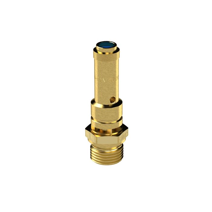 RIEGLER Sicherheitsventil DN 8, Messing, G 1/4, Ansprechdruck 8,8 bar
