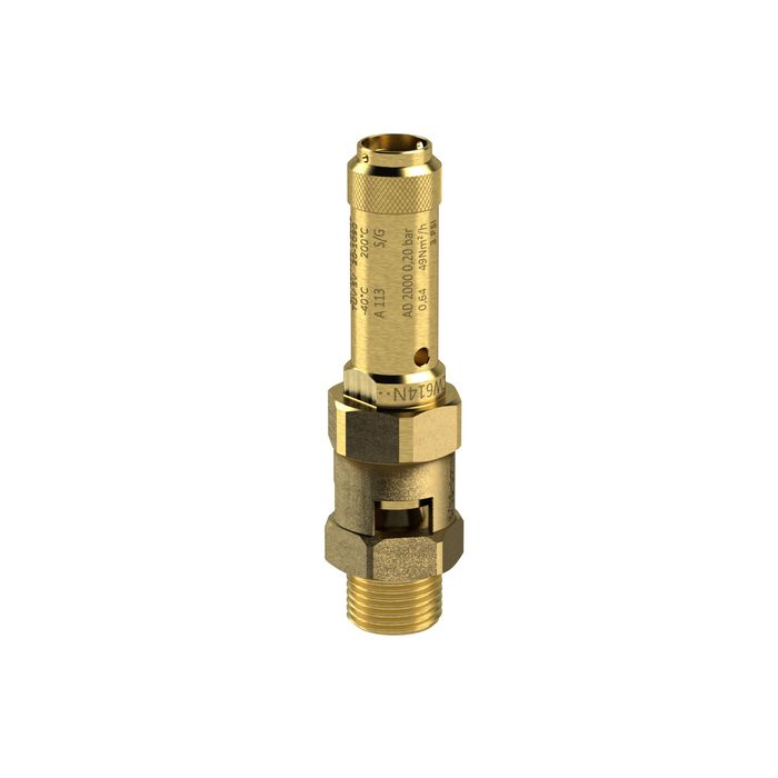 RIEGLER Sicherheitsventil, Messing, G 2, Ansprechdruck 7 bar