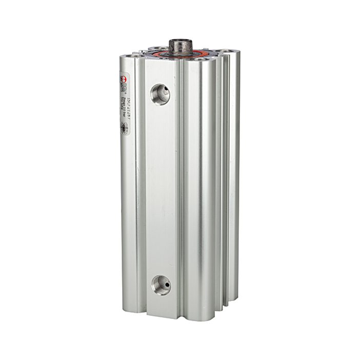 RIEGLER Compact cylinder, double-acting, Piston Ø 80, Stroke 15, G 1/8