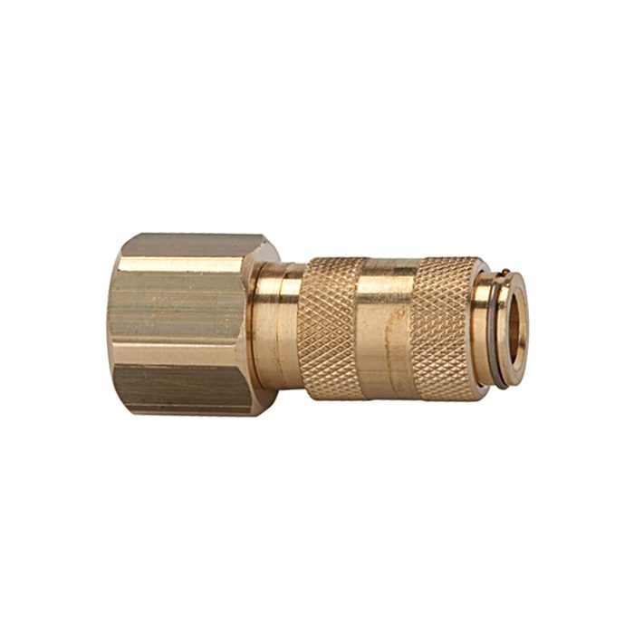 RIEGLER Quick-connect coupling I.D. 2.7, bright brass, G 1/8 IT