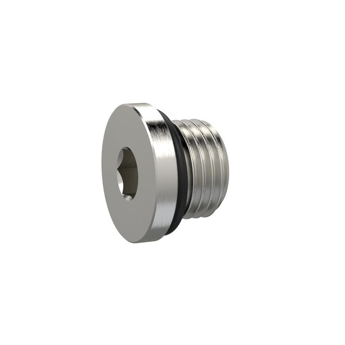 [111414] RIEGLER Verschlussschraube, Innensechskant 19 mm, G 1, NBR O-Ring, MSN