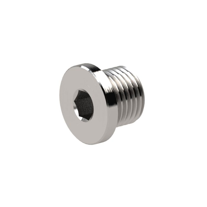 RIEGLER Verschlussschraube, Innensechskant, Bund, G 1/8, SW 5, ES 1.4571