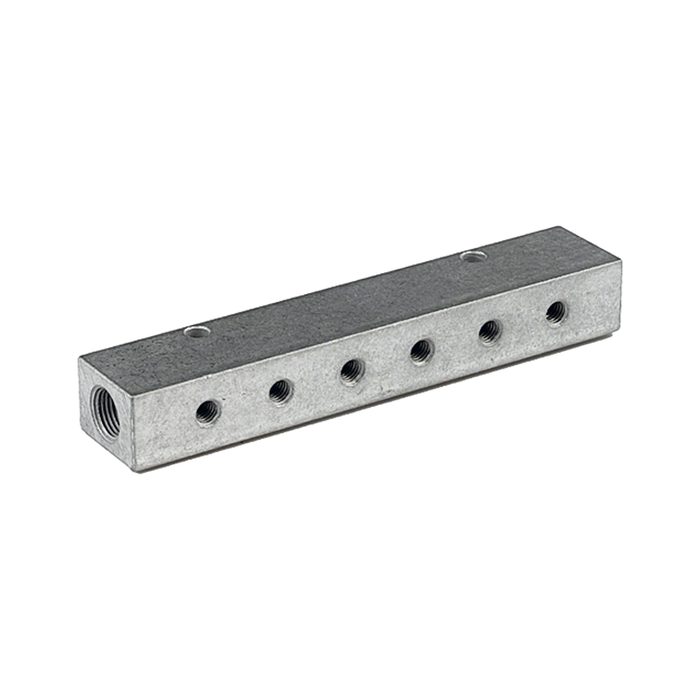 RIEGLER Distributor strip, Outlets one side, Input 2x2/8, Output 6 x 1/4