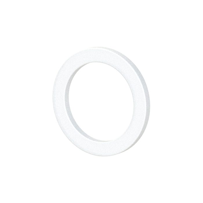 RIEGLER Dichtring aus PTFE, für Gewinde G 1/8, VPE 100 Stk.