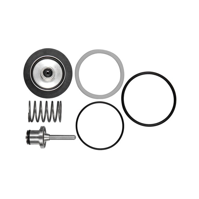 RIEGLER Wear part set for stainl. steel casting pressure/filter regulator