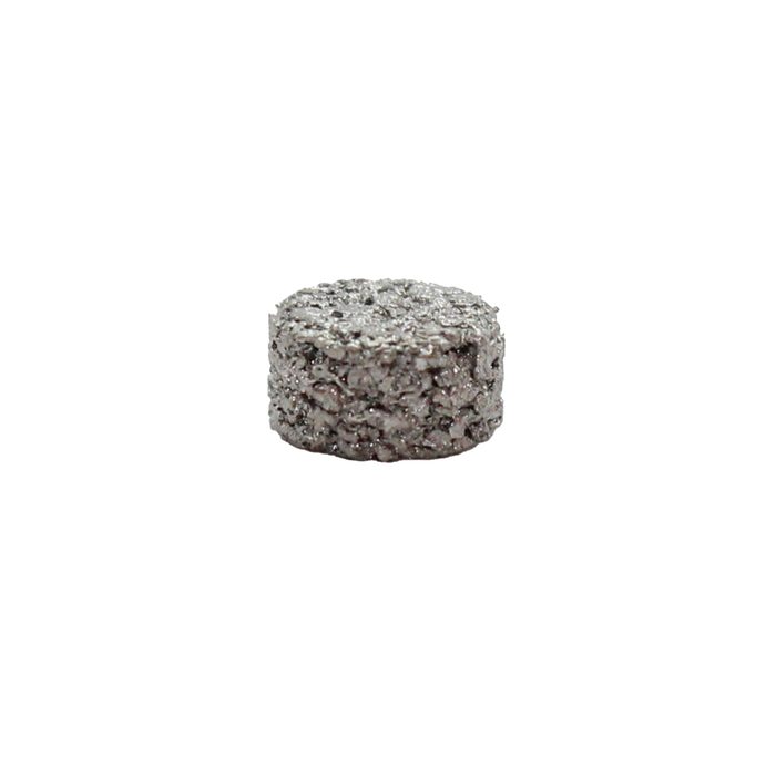 RIEGLER Filterscheibe für Vorschaltfilter, G 1/4, CrNi-Stahl 1.4404