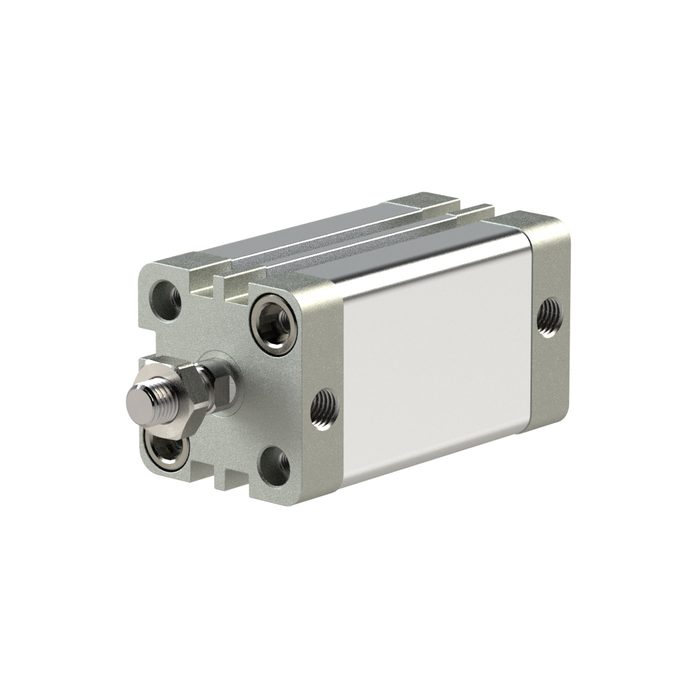 RIEGLER Comp.cyl., double-acting, Piston Ø 125, Stroke 300, G1/4,ISO21287