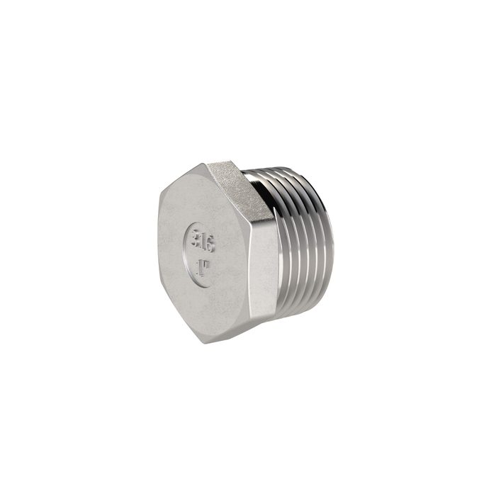 RIEGLER Verschlussstopfen, Sechskant, G 1 1/4, AG, SW 44, ES 1.4408